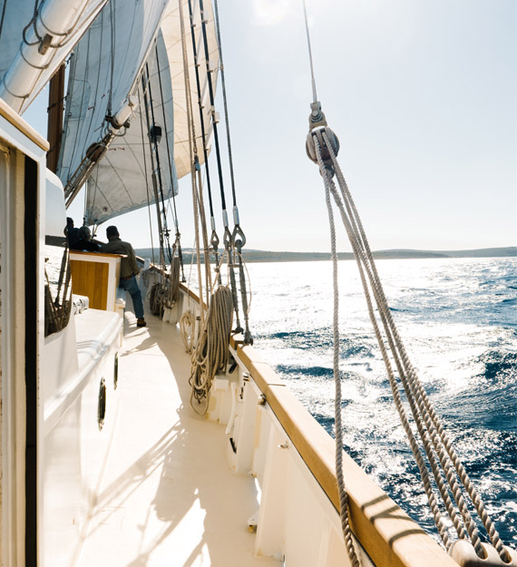 pexels-rachel-claire-6750239